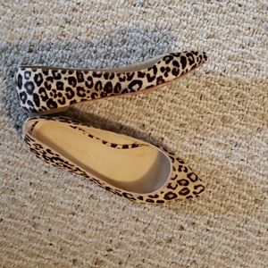 Designer Animal print flats